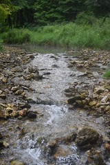 Non-Edited Mossy Glen