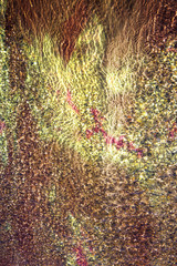 abstract image with water on different background with effect