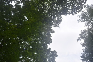 Non-Edited  Mossy Glenn Iowa