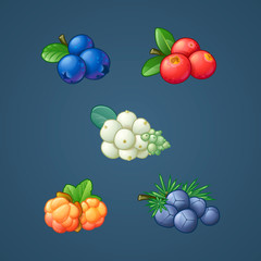 Berry icon set isolated. Snowberries, cloudberry, lingonberry, blueberry, juniper. Sweet fruit. Packaging logo design. Realistic stock vector illustration