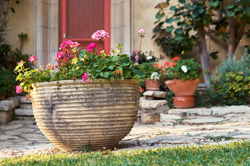 Fototapeta na wymiar Large decorative clay flower pot in front of house with beautiful red flowers outdoors in summer evening