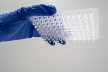 Samples of RNA were prepared in 96 well for real-time PCR (polymerase chain reaction) that can...