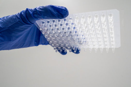 Samples of RNA were prepared in 96 well for real-time PCR (polymerase chain reaction) that can detect amount of specific gene expression .