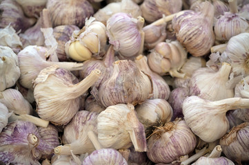 A heap of fresh harvest garlic on a market in Spain.