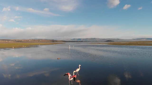 El Calafate - Lago Argentino