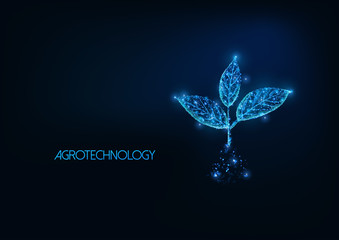 Futuristic agrotechnology, agriculture concept with glowing low polygonal plant sprout