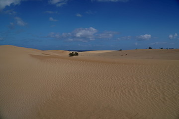 Fototapeta na wymiar Corralejo, Fuerteventura