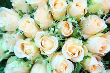 Closeup of artificial pink rose flowers