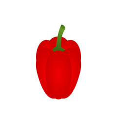 Red bell pepper vector illustration. Paprika clip art on white background. Sweet pepper flat style. Red vegetable. Organic food. Agricultural product. Healthy antioxidant diet rich in iron, vitamin E 
