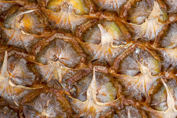 Fototapeta premium background of pineapple