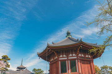 Fototapeta premium 奈良 興福寺 南円堂