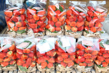 The fresh strawberries at the market