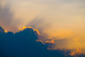 Beautiful sunlight in the evening.