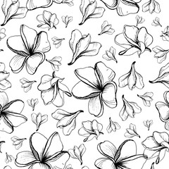 Vector seamless graphic pattern with  Flowers of Plumeria Alba. Doodle style. Hand drawing outless scketch of Frangipani. Black and white.  Tropical Floral. For texrile design, Fabric. Tissue paper