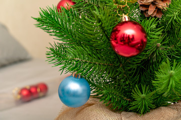 Christmas background. Branch of spruce tree. Christmas balls on the Christmas tree.