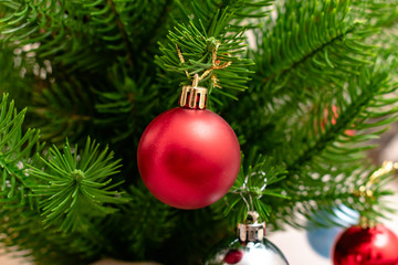 Christmas background. Branch of spruce tree. Christmas balls on the Christmas tree.