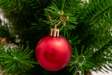 Christmas background. Branch of spruce tree. Christmas balls on the Christmas tree.