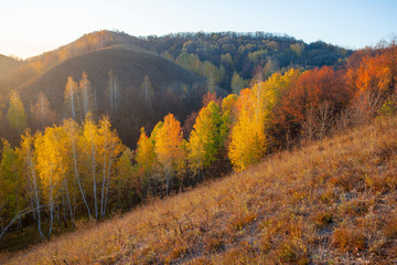 Fototapeta premium Indian summer.