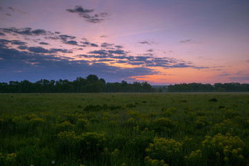 Morning dawn