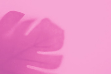 Background with shadow of the monstera leaf. Copy space. Place for text and design. 