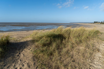 Umgbung von Gronvillde Normandie Frankreich
