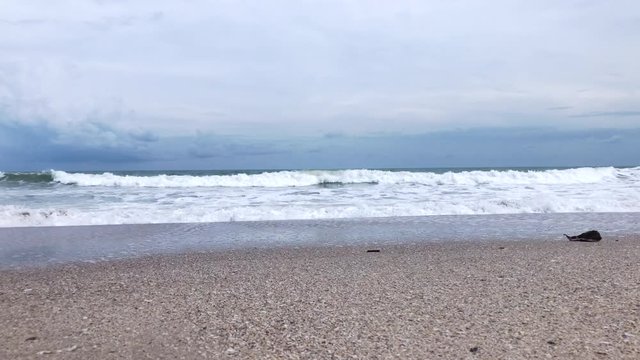 Sea waves hit tropical sand beach with cloudy dark sky footage