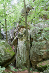 beautiful girl tourist with a backpack on a cliff, mountains, rocks Dovbush, Ukraine