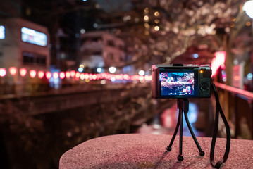 東京 目黒川の桜ライトアップ