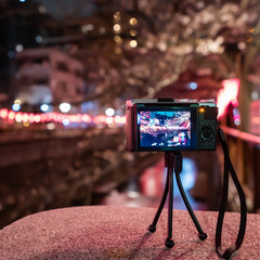 東京 目黒川の桜ライトアップ