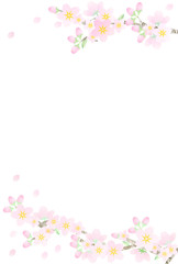 Obraz na płótnie Canvas ポストカードサイズ　桜のフレーム　縦