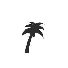 palm tree isolated on white