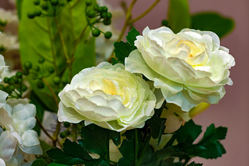 Two white roses in bouquet. Front view from above. Close up. Selective focus.