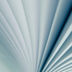 Obraz premium Blurred. A light background from the white pages of a white open book