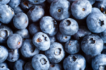 Freshly picked fresh blueberries under the sun light laying in the table