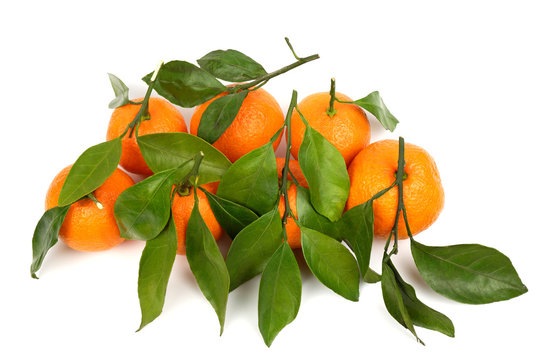 Bunch of ripe juicy orange tangerines with leaves isolated on white background.