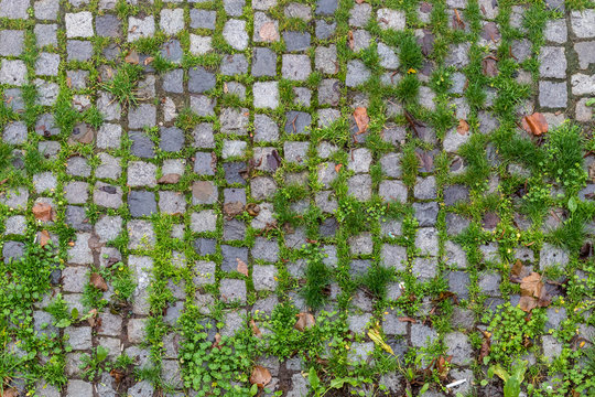 Top View Cobblestone Texture With Green Grass In-between