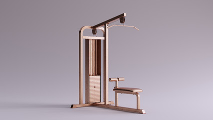 Bronze Lats Pull Down Weight Machine 3d illustration 3d render	