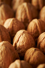 Walnut with shell on black background 