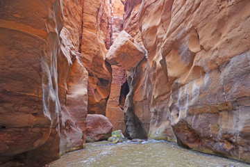 Jordan January 2019 Tourists in Wadi Mujib is a gorge in Jordan which enters the Dead Sea at 410 meters below sea level. The Mujib Reserve of Wadi Mujib is the lowest nature reserve in the world