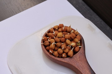 fresh germinated chickpeas on white background
