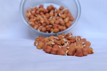 Yellow color split raw Chana dal or chickpeas lentils