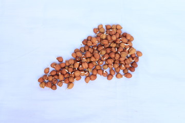 fresh germinated chickpeas with wood spoon on white background