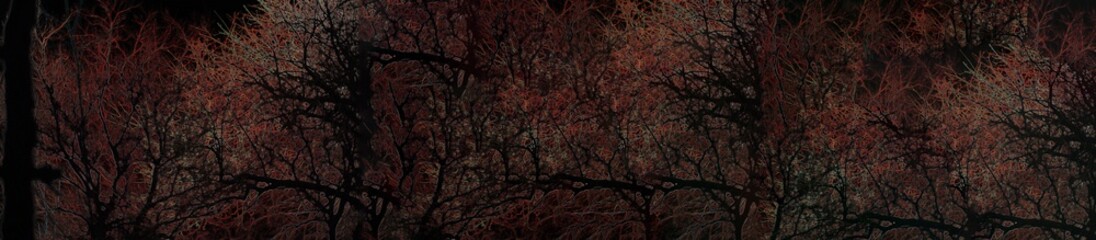  black background panorama with luminous tree branches