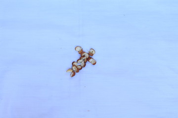 fresh germinated chickpeas on white background