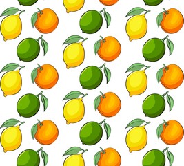 Vector seamless pattern of citrus fruits. Seamless pattern with lemon, lime and orange in vibrant colors. 