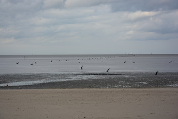 Fototapeta na wymiar Strand, Sand, Meer, Hintergrund