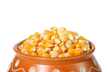 Close-up of Dried corn in clay pot