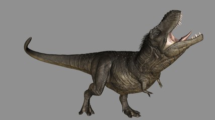 tiranossauro rex pose 1
