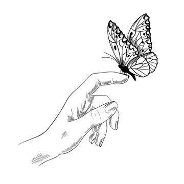 Butterfly on finger, girl hand, ink sketch