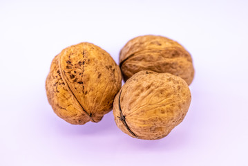dried walnut on a white background